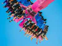 Thrills at Ocean Park!