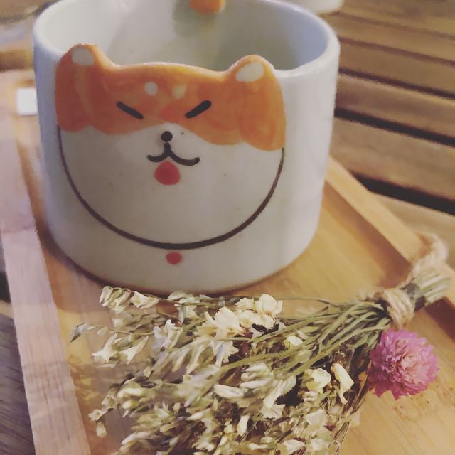 走過十萬八千里找到你❣️