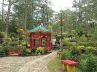  A Park You Shouldn't Miss In Baguio🇵🇭