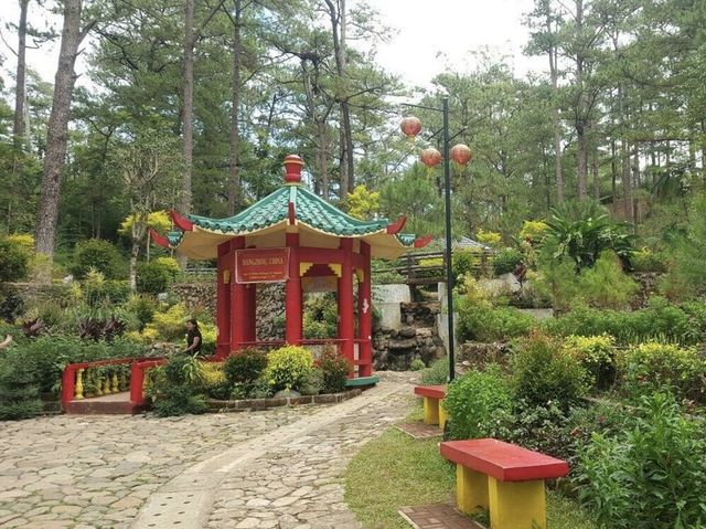  A Park You Shouldn't Miss In Baguio🇵🇭