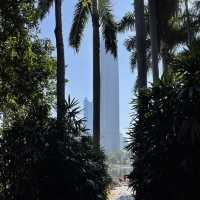  A stunning park in the heart of Shenzhen