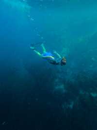 Moalboal 🇵🇭 Sardine Storms