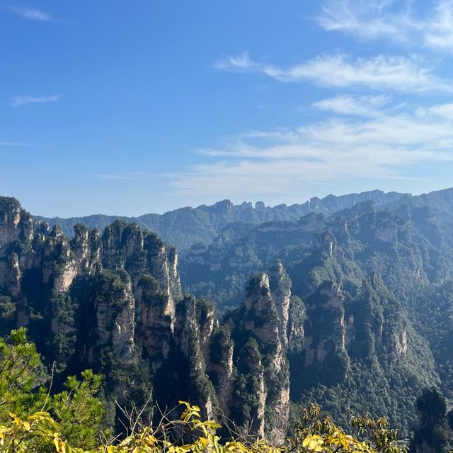 Monkeys in the Misty Forest and Pandora Peaks