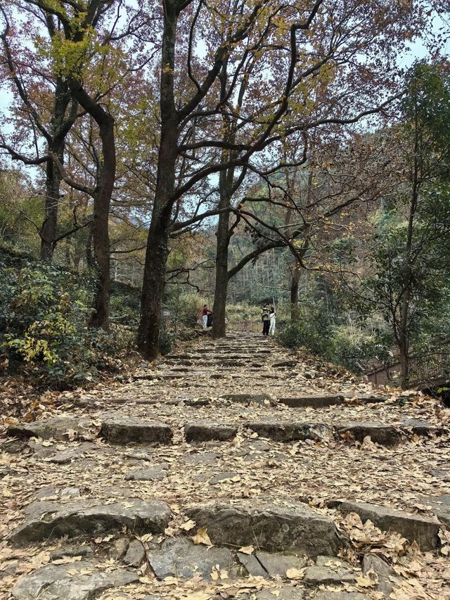 南黄古道／北有香山紅葉，南有南黃楓葉，太美太震撼了！