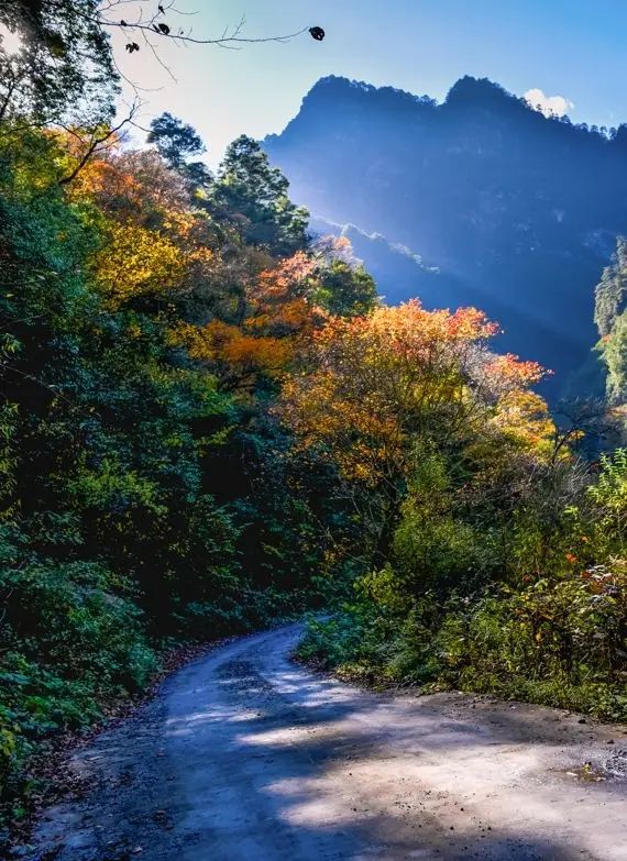 芦山的大深山裡的彩林秘境：大川河