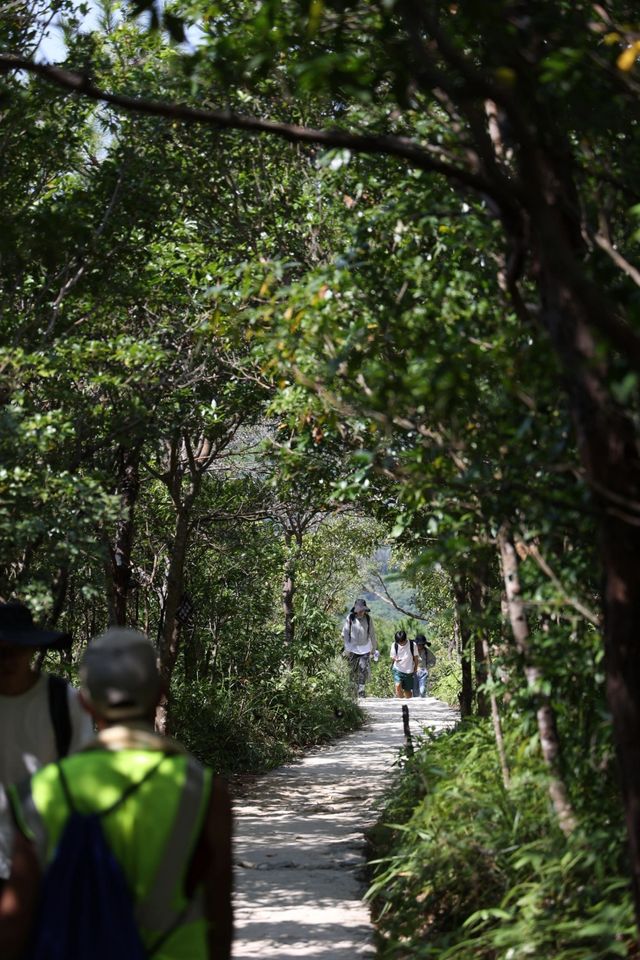 深圳最美山峰攻略||讓人又愛又恨的七娘山