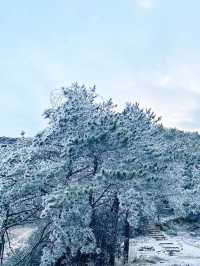 南方人自己的霧凇就在【石牛山】！|||