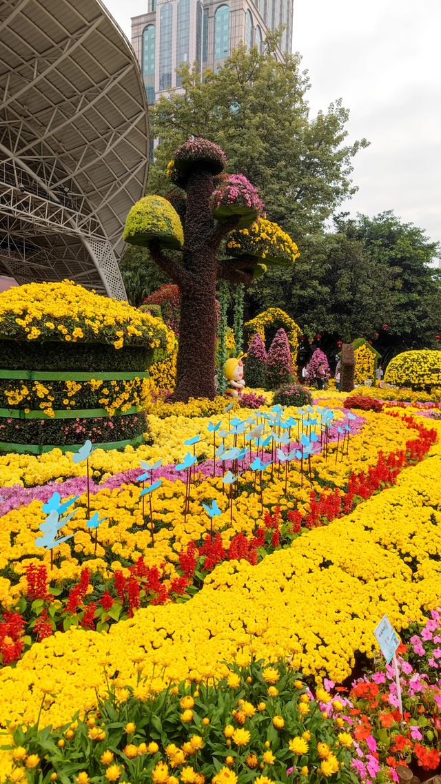 四季花城，來花城看花吧！