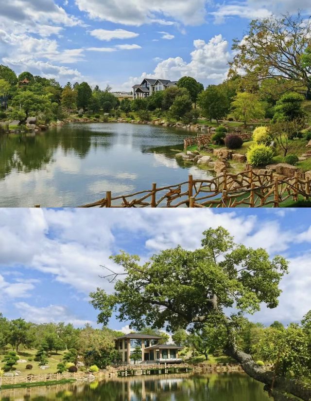 住進風景裡不想走——京山鄉野裡民宿