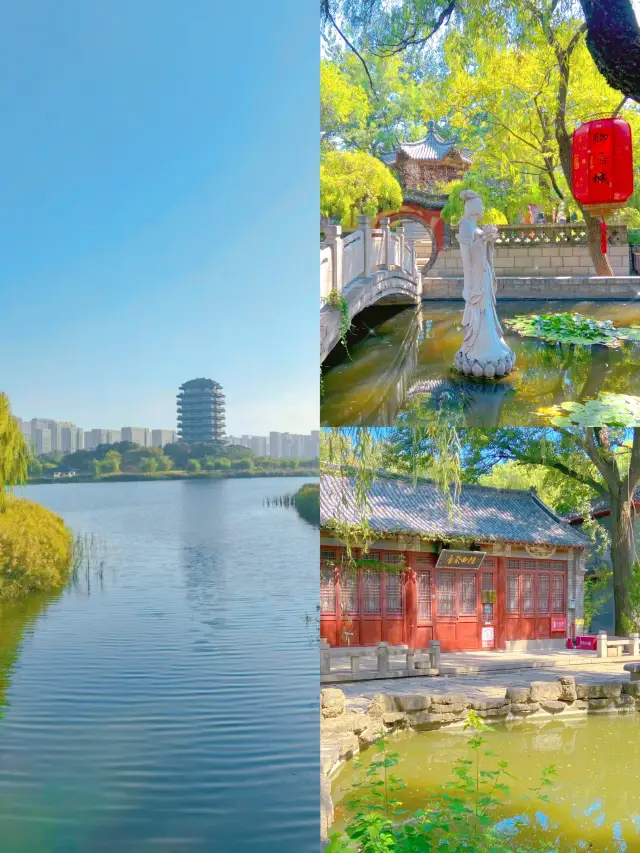 Exploring Zibo: Top 10 Must-Visit Attractions That Will Make You Fall in Love with This City