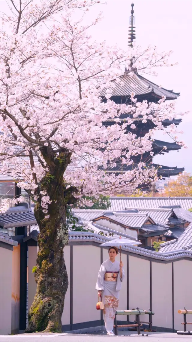 Wander around Kyoto's iconic streets together! 🌸🚶‍♂️