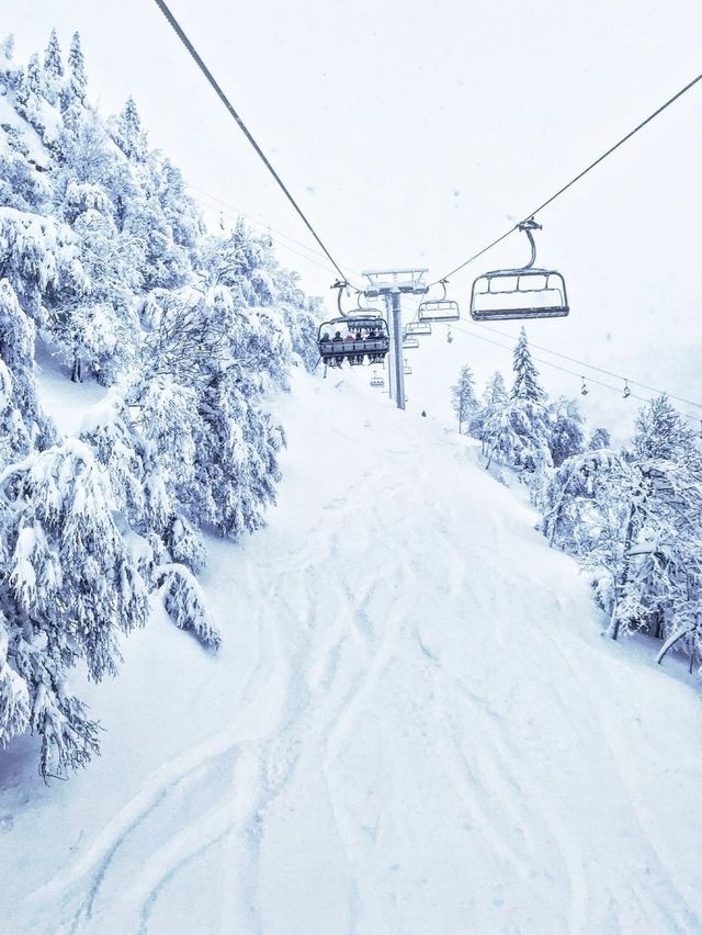 北極風光滑雪之旅——奧勒滑雪場