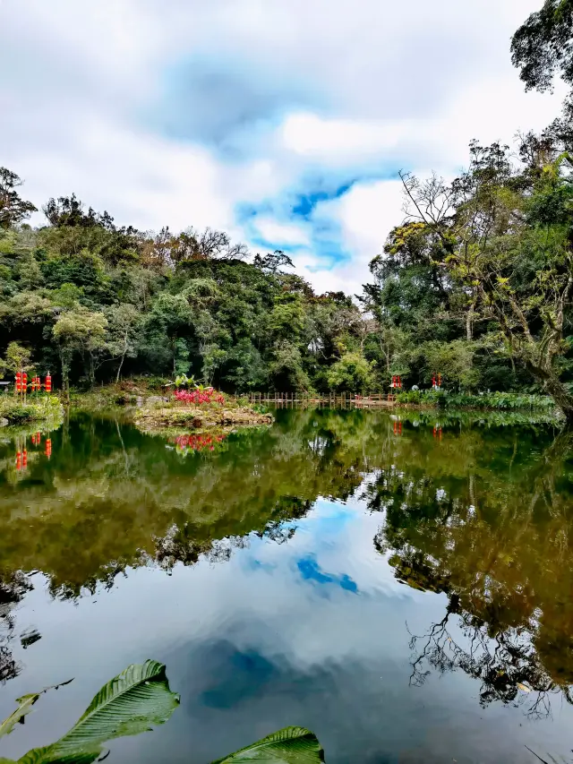 Water comes from the sky, this is one of the sources of the Wanquan River