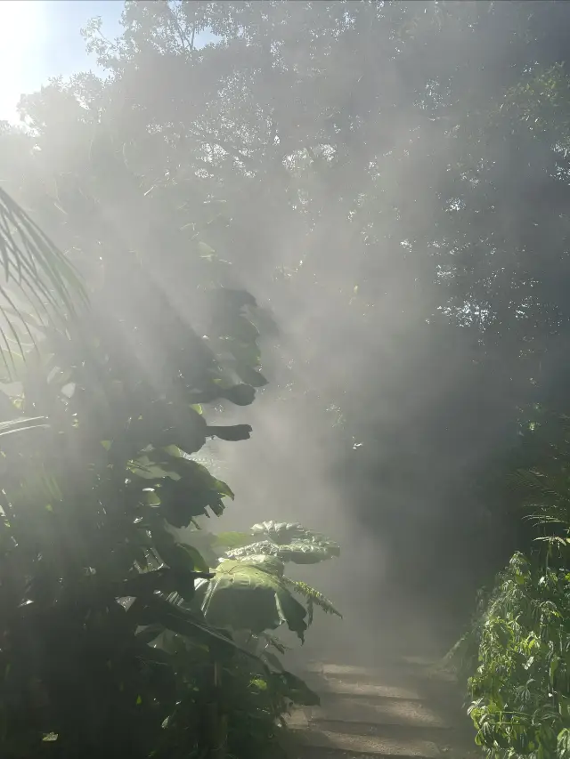 불입천국-샤먼 식물원
