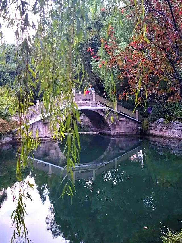 Looking for autumn in Zhabei Park