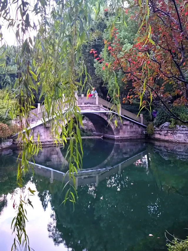 在公園尋找秋天閘北公園