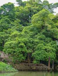 福州·屏山公園——來福州必須要打卡的古韻公園