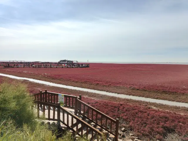 連海接天灘塗赤 實滿穗重滿地金 秋分漸寒待添衣 恰逢稻香蟹肥時