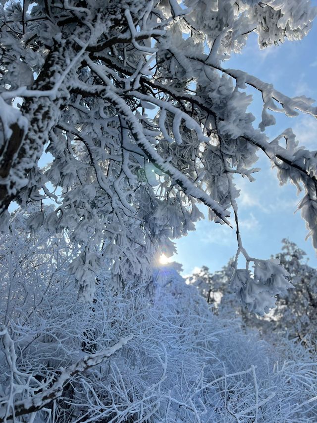 大雪將至九宮山的雪景萬萬不能錯過