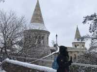 布達城堡在雪中