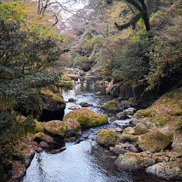 菊池溪谷，流水潺潺中的靜謐時光