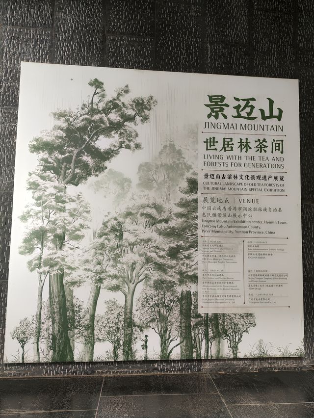 景迈山：世界文化遺產申的是什麼？