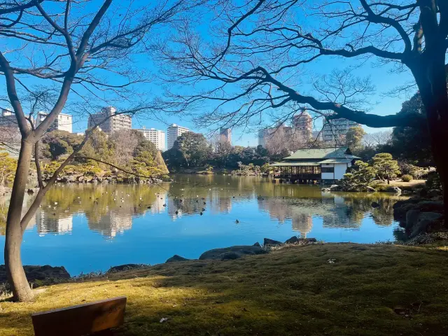 東京の超マイナー観光地：クラシックな日本庭園
