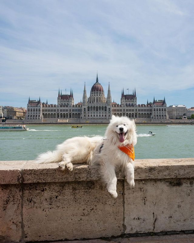 😍❤️ From historic landmarks to stunning scenery, Budapest has something to offer for everyone.