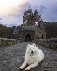 Felix over the years at Eltz Castle 🏰😍