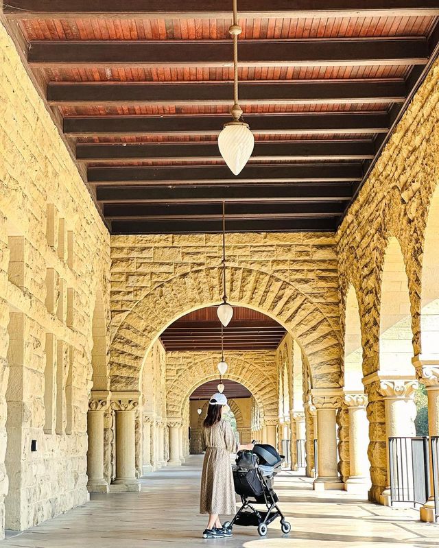 【カリフォルニア】夢のキャンパスライフ！スタンフォード大学で感じる建築美と緑豊かなキャンパス生活🌲🎓