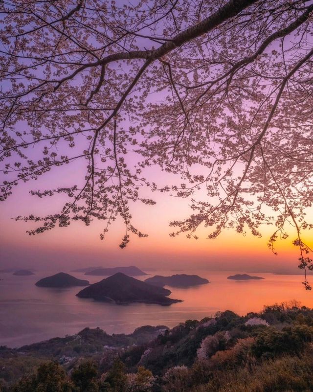 日本櫻花·一個人旅行·重新認識自己的機會