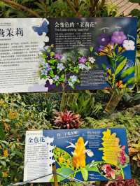 武漢植物園｜闖入現實版的綠野仙踪