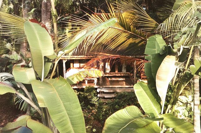 Bali's Canopy Retreat