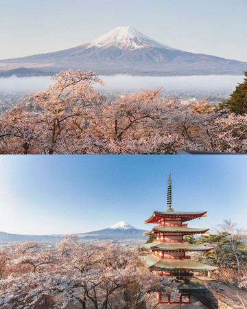日本を代表する景色、新倉山浅間公園の桜 | Trip.com 富士吉田