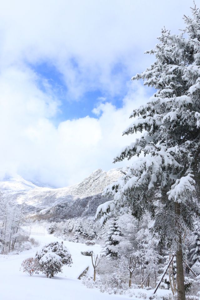 旅行 || 陽春三月在九寨溝悅榕莊遇見雪景裡的浪漫