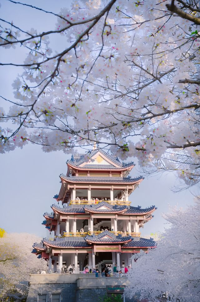 巔峰期TOP鼋頭渚已經終結了比賽(附攻略) 巔峰期TOP鼋頭渚已經終結了比賽(附攻略)