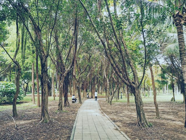 在地鐵口就能看到海的公園丨深圳最好的跑步騎行地