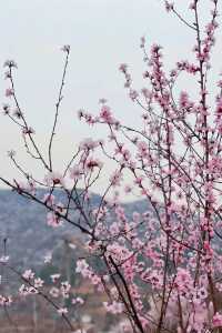 門頭溝醜兒嶺生態觀光園，去了才知道什麼叫美！