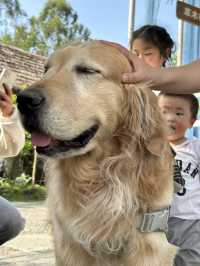 成都遛娃｜黃龍溪歡樂田園超全遊玩攻略