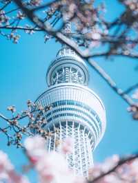 東京晴空塔：世界最高自立式電波塔，美食住宿交通一網打盡