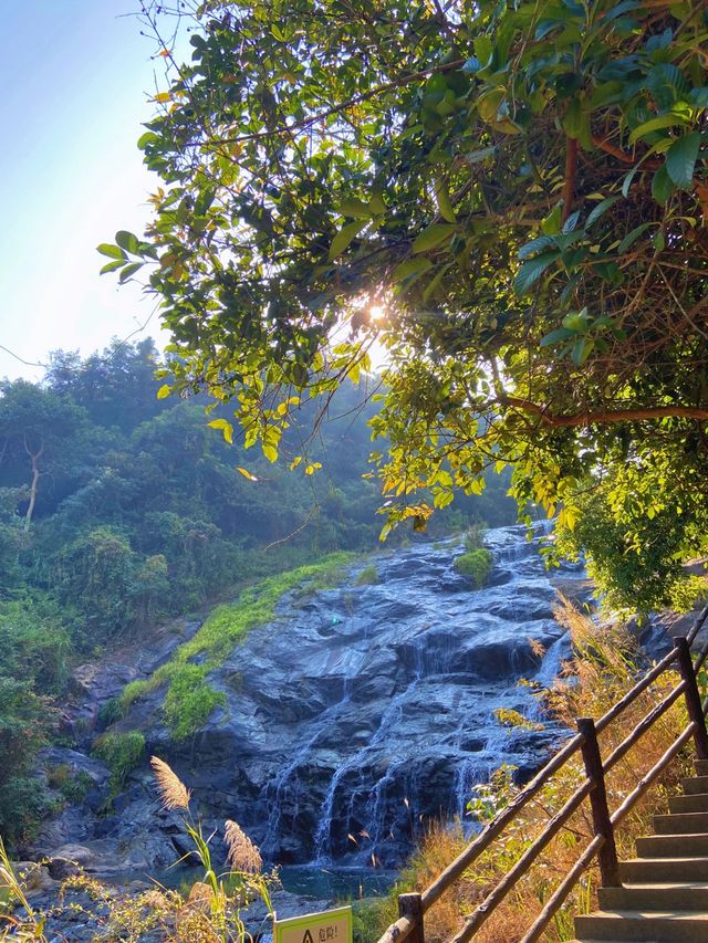 深圳馬峰山郊野公園，旅遊攻略