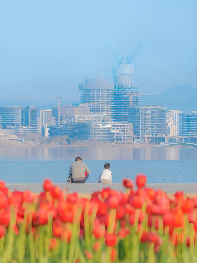 Fields of tulips are blooming and shimmering at Xinglong Lake