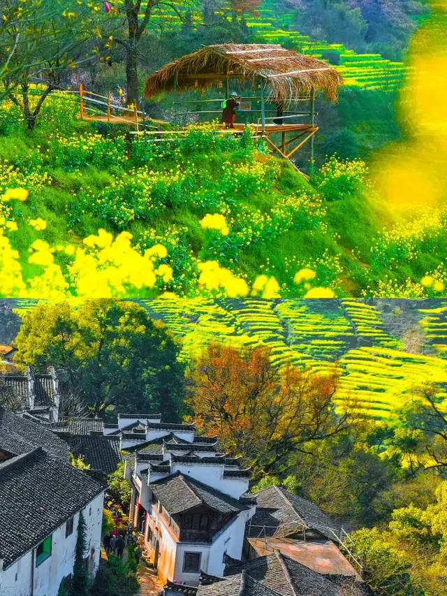 Wuyuan, the most beautiful ancient village amidst a sea of rapeseed flowers