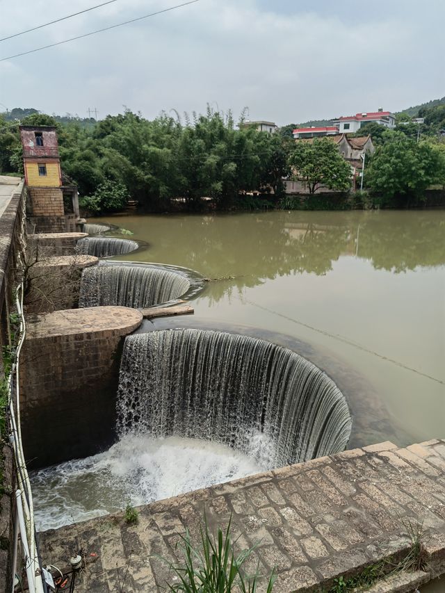 漳州-東溪農場