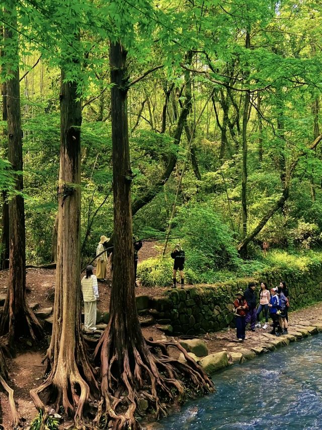 被《國家地理》評為“江南最後的秘境”有對絕