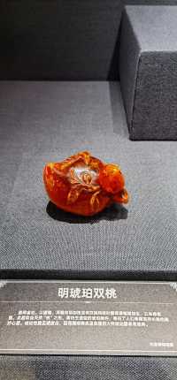 天津博物館之瞬間與永恆-波蘭琥珀文化藝術展