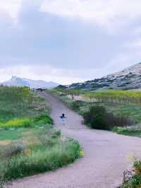 我在洛杉矶找到了風之谷｜Wildwood 遠足