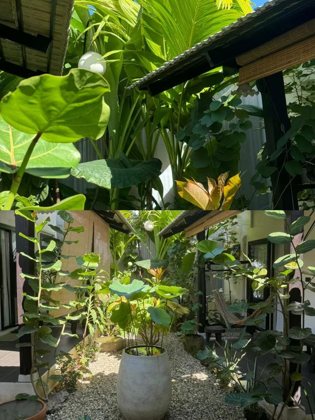 見山水