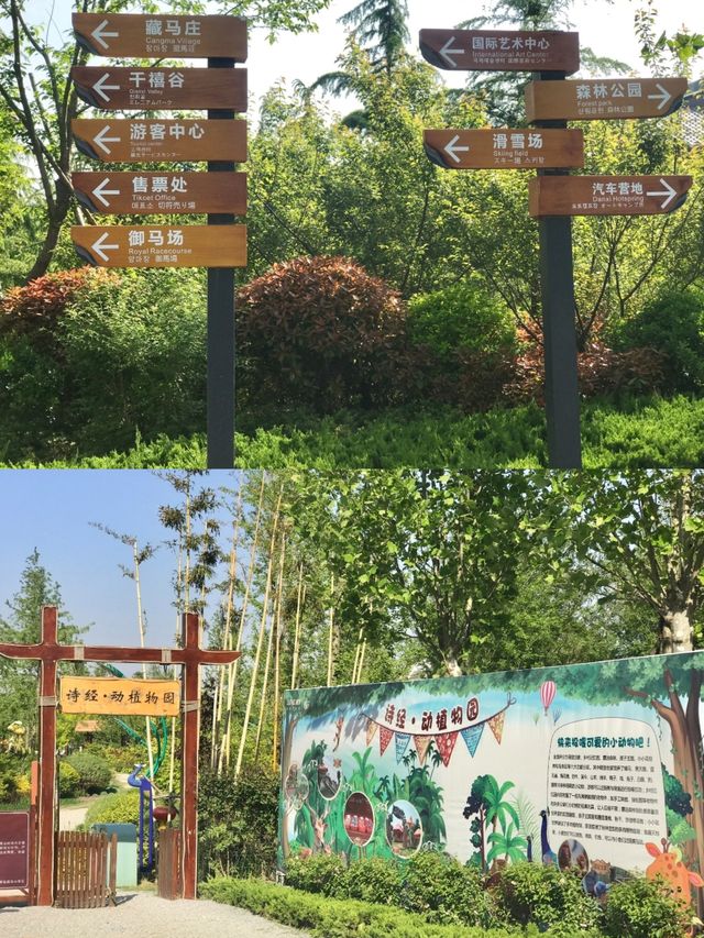 青島藏馬山：自然的詩篇