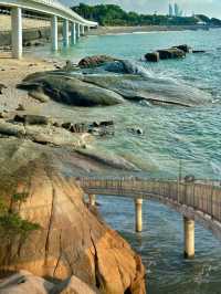 一到廈門就飛奔這裡!美絕了!!